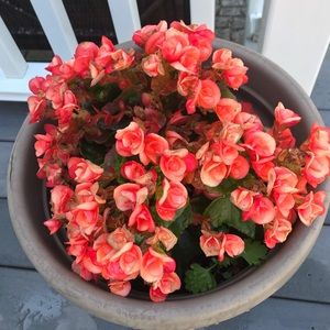 Meet your Posher, Jody